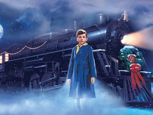 The Polar Express
