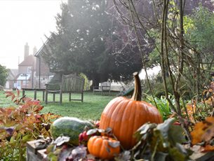 Twilight Tour: Halloween Special at Jane Austen's House