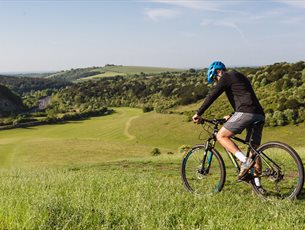 Mountain Biking at Queen Elizabeth Country Park