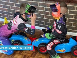 Racing Cars & Monster Trucks at Sky Park Farm