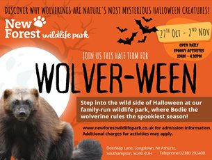 Wolver-ween halloween poster with wolverine animal