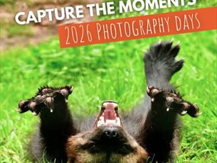 Photography Experience Days at New Forest Wildlife Park