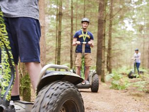 Moors Valley Country Park and Forest