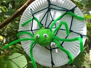 Spider craft in Web 