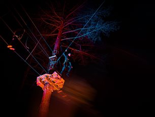 Go Ape Alice Holt's Sundown Adventures - Ziplines at Night