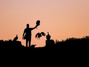 The Hawk Conservancy Trust