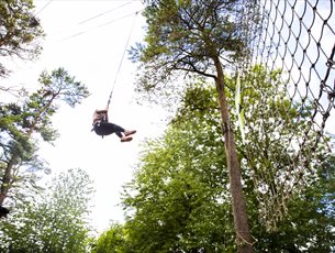 Tarzan swing at Go Ape Southampton