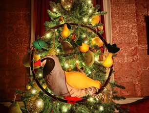 A partridge decoration sits in a sparkling Christmas tree.