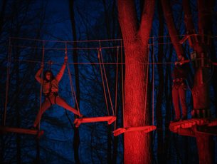 Women and man on treetop crossing at night