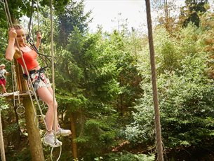 Go Ape - Alice Holt