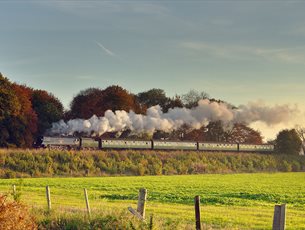 Autumn on the Watercress Line