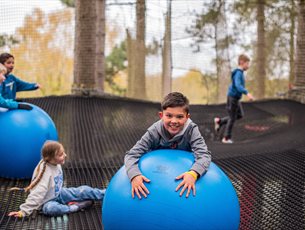 Nets Adventure Go Ape Alice Holt