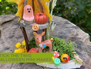 Image of miniature Halloween craft made from twigs, leaves and moss for Sky Park Farm's October half term halloween event.