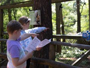 Easter Events at New Forest Wildlife Park