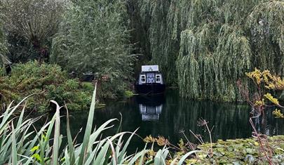 The Meadow Glamping