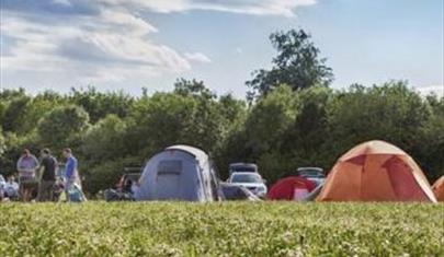 Abbotstone Wood Camping