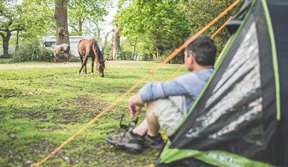 Ashurst Campsite, New Forest