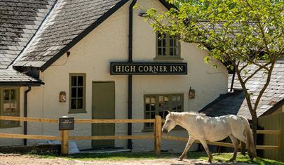 The exterior of The High Corner Inn with a New Forest Pony in the foreground