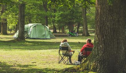 Hollands Wood Campsite, New Forest: Visit-Hampshire.co.uk