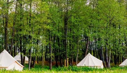 Forest Holidays Blackwood Winchester Visit Hampshire