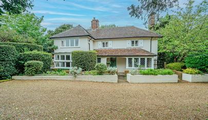 Rose Cottage - New Forest Cottages