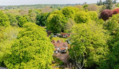 Speedwell Cottage - New Forest Cottages