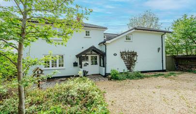 Springers Cottage - New Forest Cottages