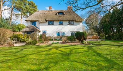 Thatchby Oak, New Forest Cottages