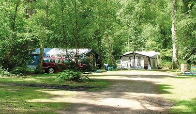 Wellington Country Park - Caravan & Campsite