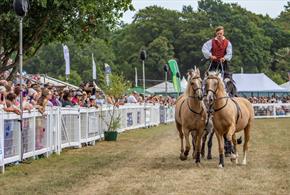 The New Forest and Hampshire County Show