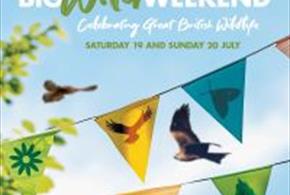 Big Wild Weekend at Hawk Conservancy Trust