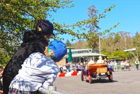 Summer Holiday Fun at Beaulieu