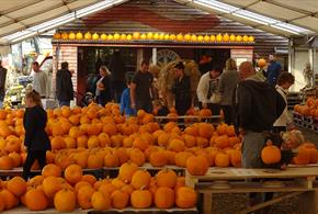 Pumpkin Festival at Sunnyfields Farm