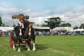 The Romsey Show