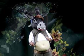 A  Midsummer Night's Dream