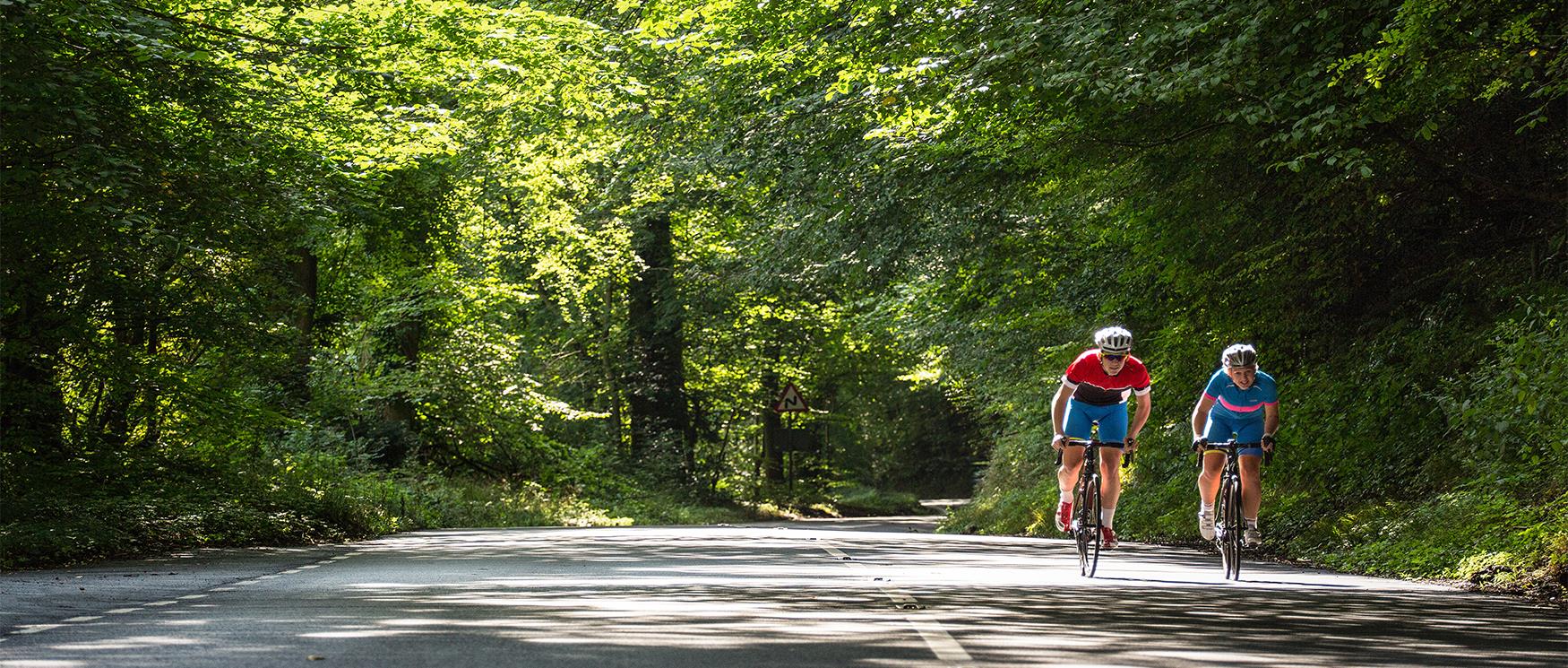Road Cycling in Hampshire
