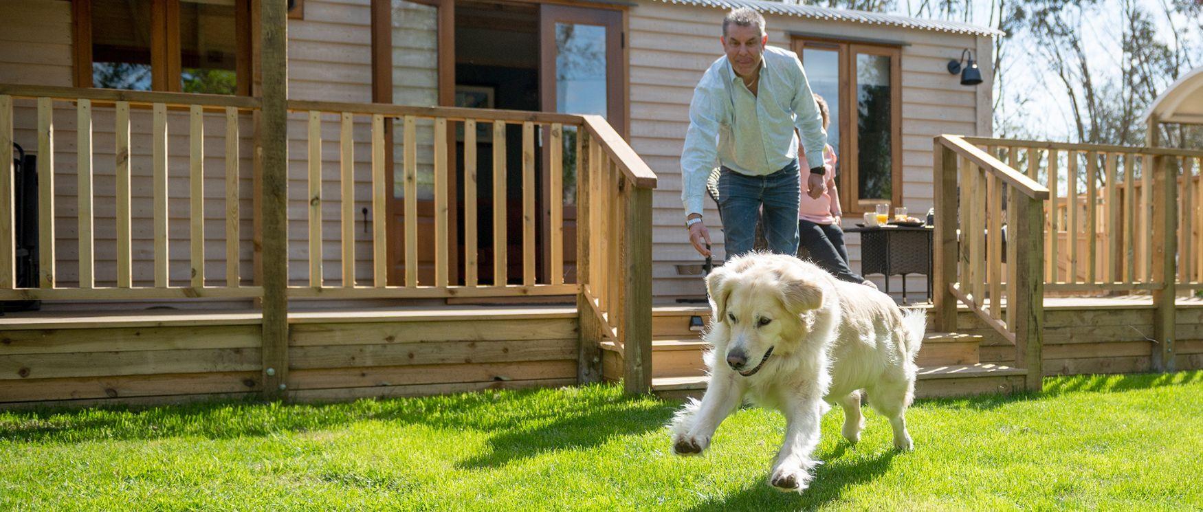 A man throws a ball for a golden retriever at Back of Beyond Touring, Camping & Glamping Park