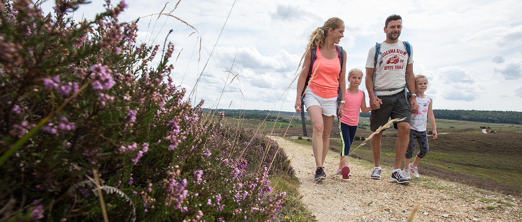 Family Walks in Hampshire