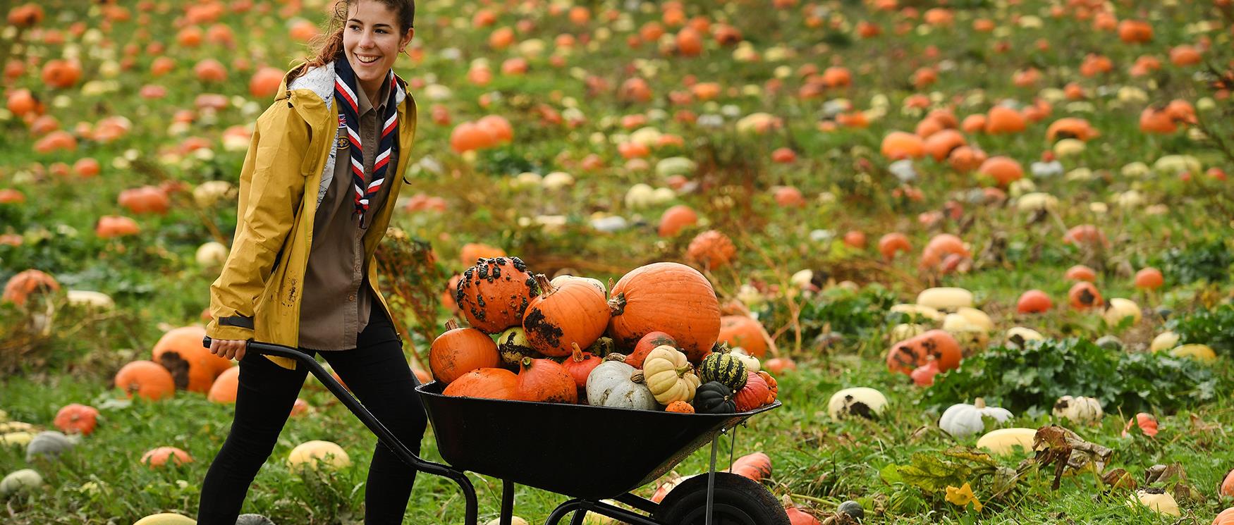Halloween Pumpkin Picking in Hampshire