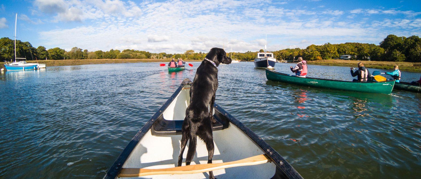 A black Labrador watches over the water from a canoe