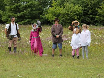 Join in medieval display, The Sarson Falconer