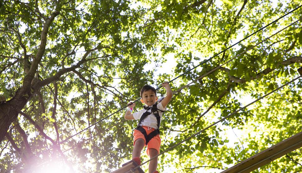 Go Ape at Alice Holt Forest