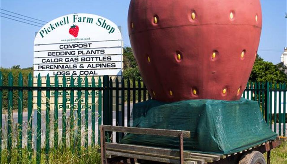 Pickwell Farm Shop and Pick Your Own