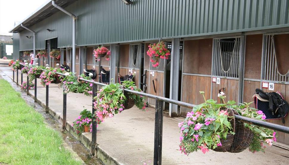 Quob Stables Equestrian Centre