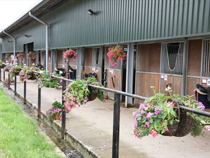 Quob Stables Equestrian Centre