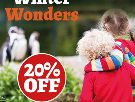 Winter Wonders at Birdworld and save 20%