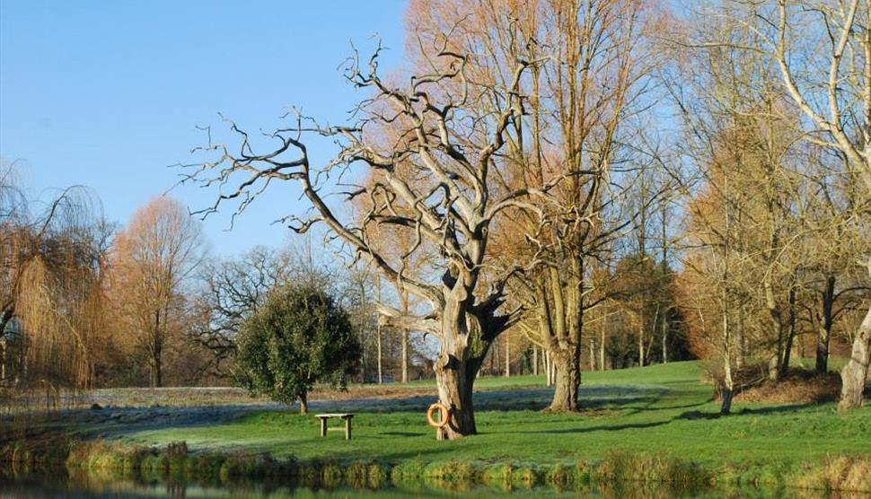 Holbury Lane Trout Fishery