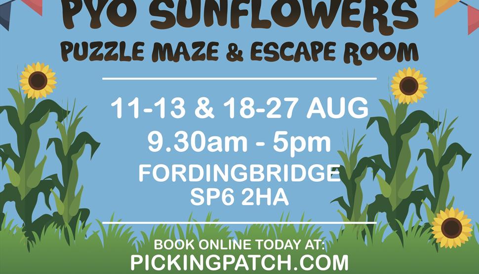 PYO Sunflowers, Puzzle Maize Maze & Pop-up Escape Rooms