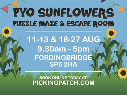 PYO Sunflowers, Puzzle Maize Maze & Pop-up Escape Rooms