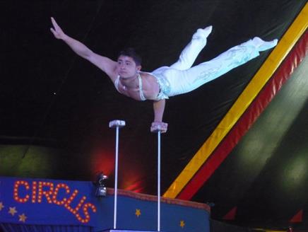 Netley Marsh Circus